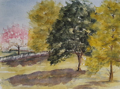 Chrissy F, Through my window, watercolour.jpg